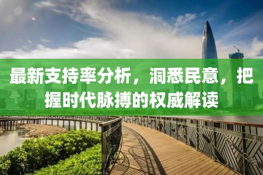 最新支持率分析，洞悉民意，把握时代脉搏的权威解读
