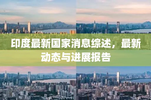 印度最新国家消息综述，最新动态与进展报告