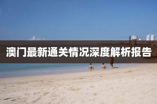 澳门最新通关情况深度解析报告
