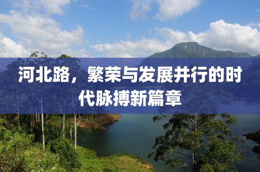 河北路，繁荣与发展并行的时代脉搏新篇章
