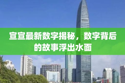 宣宣最新数字揭秘，数字背后的故事浮出水面