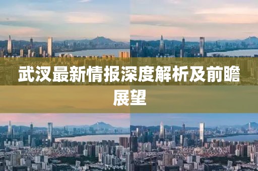 武汊最新情报深度解析及前瞻展望