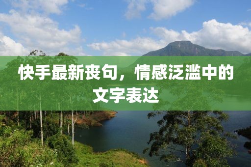 快手最新丧句，情感泛滥中的文字表达