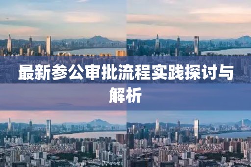 最新参公审批流程实践探讨与解析