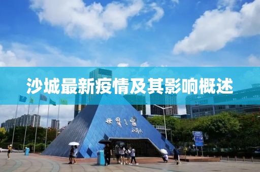 沙城最新疫情及其影响概述
