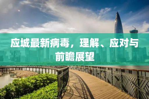 应城最新病毒，理解、应对与前瞻展望