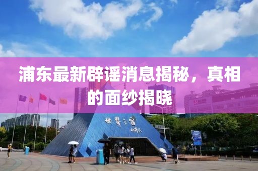 浦东最新辟谣消息揭秘，真相的面纱揭晓