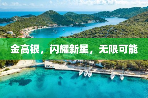金高银，闪耀新星，无限可能