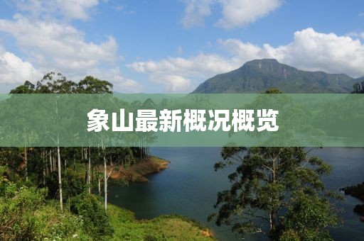 象山最新概况概览