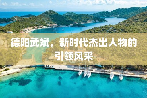 德阳武斌，新时代杰出人物的引领风采