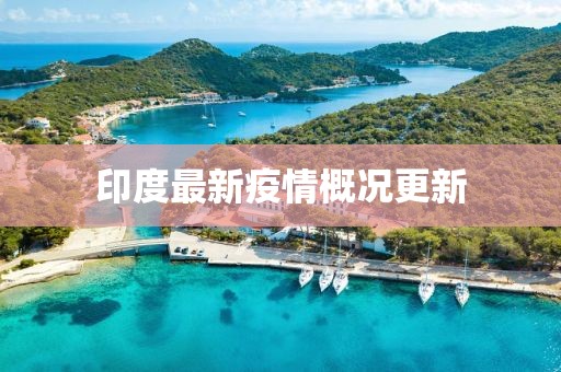 印度最新疫情概况更新