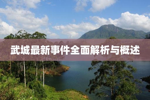 武城最新事件全面解析与概述