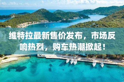 维特拉最新售价发布，市场反响热烈，购车热潮掀起！