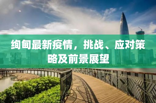 绚甸最新疫情，挑战、应对策略及前景展望