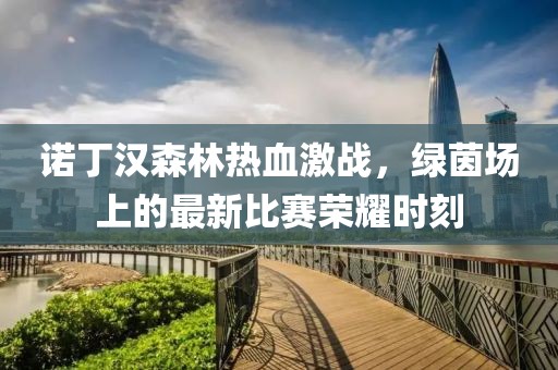 诺丁汉森林热血激战，绿茵场上的最新比赛荣耀时刻