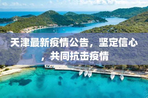 天津最新疫情公告，坚定信心，共同抗击疫情