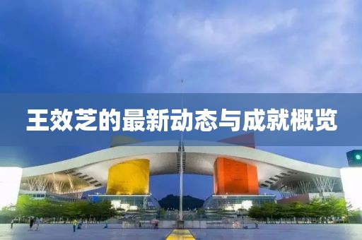 王效芝的最新动态与成就概览