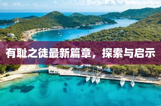 有耻之徒最新篇章，探索与启示