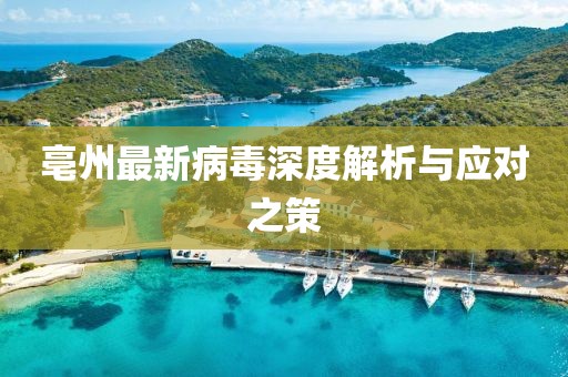亳州最新病毒深度解析与应对之策