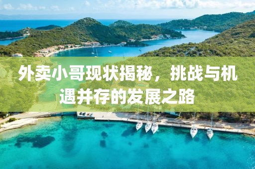 外卖小哥现状揭秘，挑战与机遇并存的发展之路