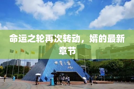 命运之轮再次转动，婿的最新章节