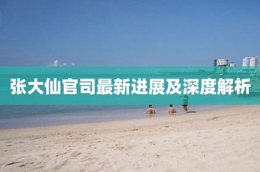 张大仙官司最新进展及深度解析