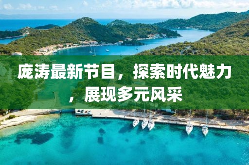 庞涛最新节目，探索时代魅力，展现多元风采
