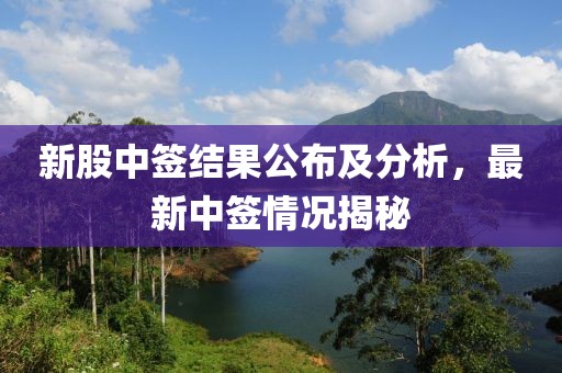 新股中签结果公布及分析，最新中签情况揭秘