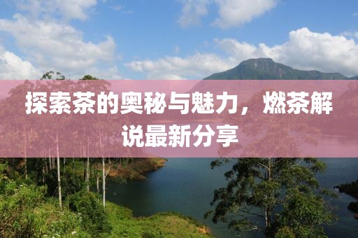 探索茶的奥秘与魅力，燃茶解说最新分享