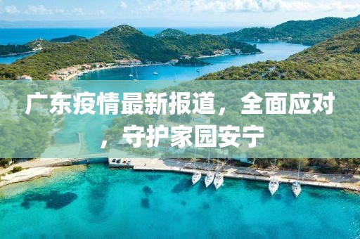广东疫情最新报道，全面应对，守护家园安宁