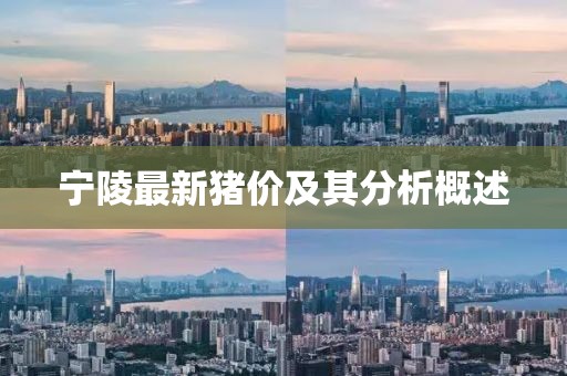 宁陵最新猪价及其分析概述