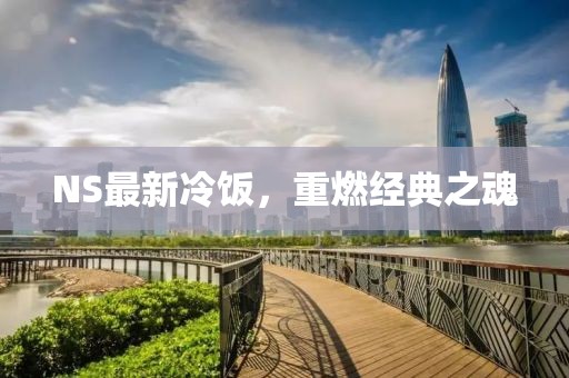 NS最新冷饭，重燃经典之魂