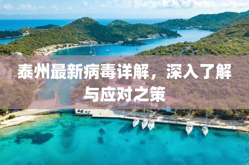 泰州最新病毒详解，深入了解与应对之策