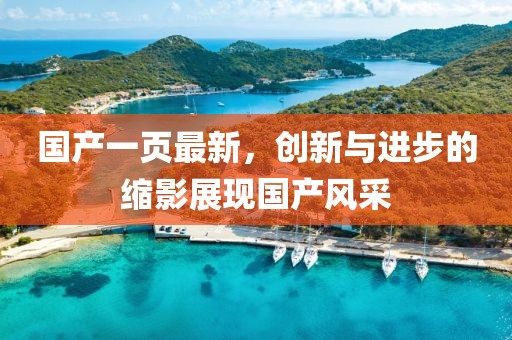 国产一页最新，创新与进步的缩影展现国产风采