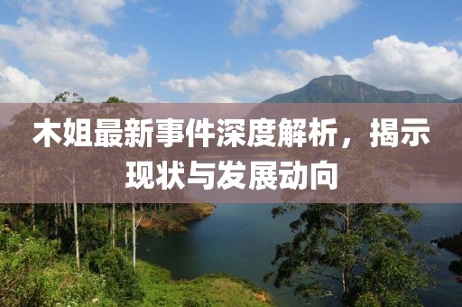 木姐最新事件深度解析，揭示现状与发展动向