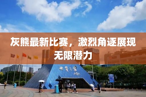 灰熊最新比赛，激烈角逐展现无限潜力