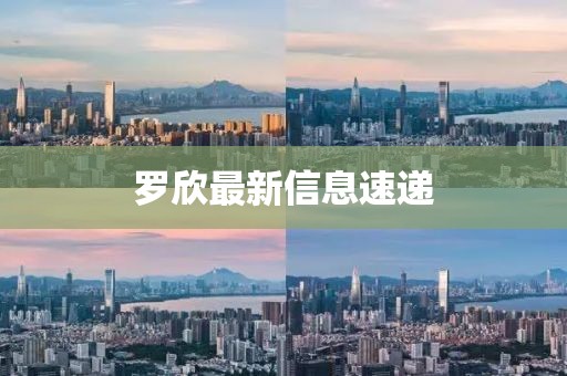罗欣最新信息速递