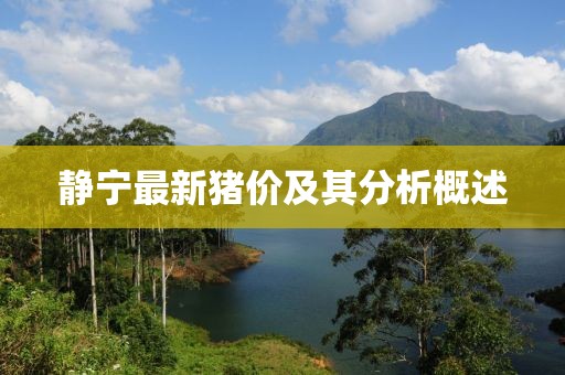 静宁最新猪价及其分析概述