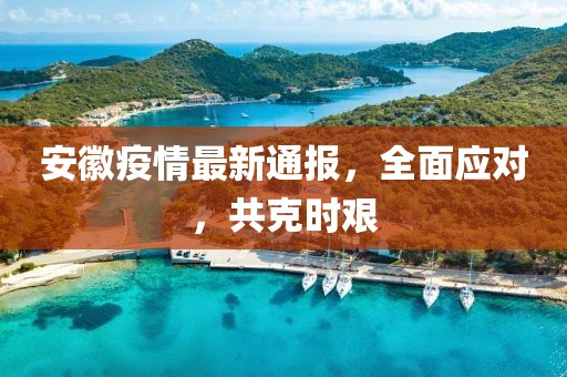 安徽疫情最新通报，全面应对，共克时艰