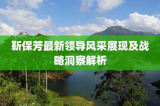 靳保芳最新领导风采展现及战略洞察解析