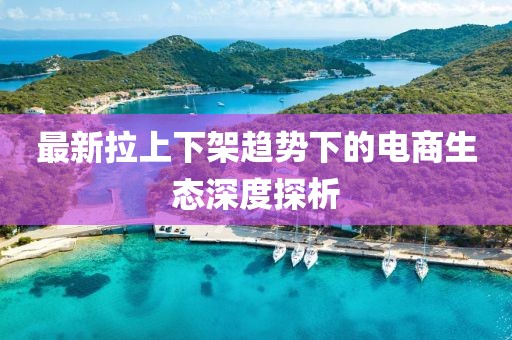 最新拉上下架趋势下的电商生态深度探析
