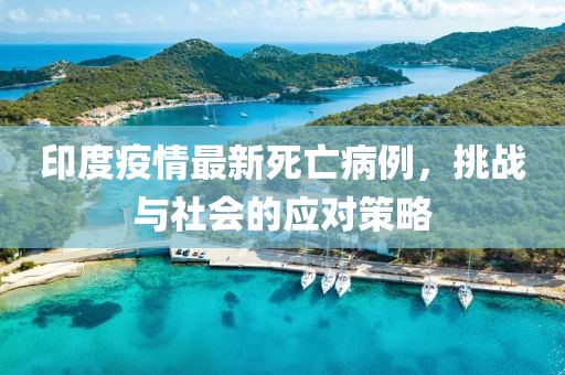 印度疫情最新死亡病例，挑战与社会的应对策略