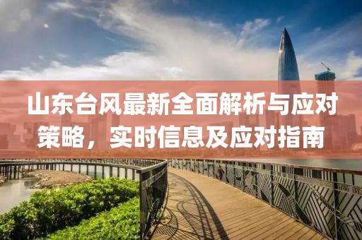 山东台风最新全面解析与应对策略，实时信息及应对指南