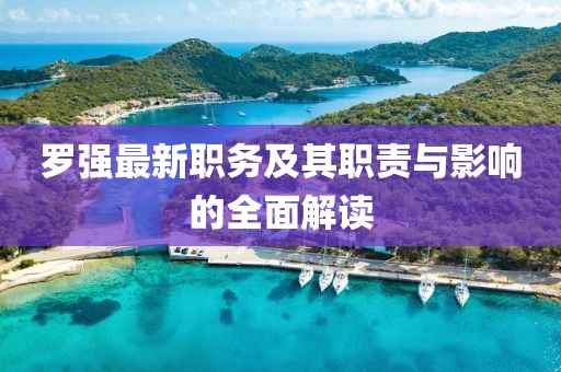 罗强最新职务及其职责与影响的全面解读