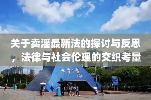 关于卖淫最新法的探讨与反思，法律与社会伦理的交织考量