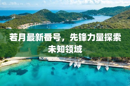 若月最新番号，先锋力量探索未知领域