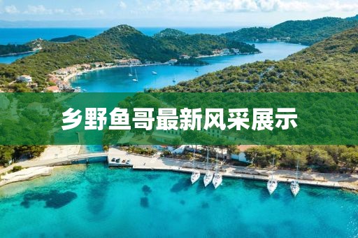 乡野鱼哥最新风采展示