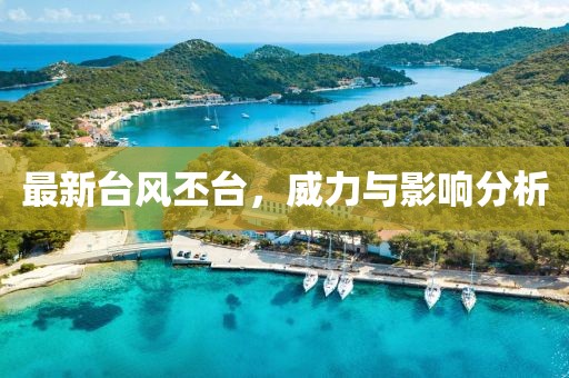 最新台风丕台，威力与影响分析