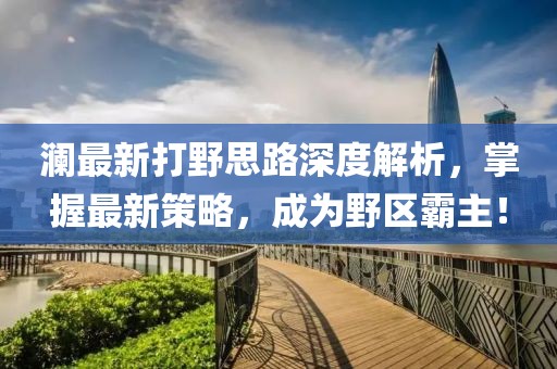 澜最新打野思路深度解析，掌握最新策略，成为野区霸主！
