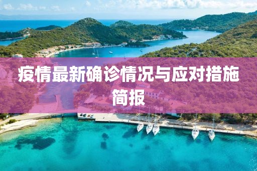 疫情最新确诊情况与应对措施简报